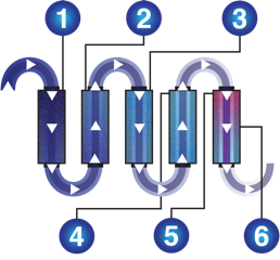 A diagram of the flow of water in a body.